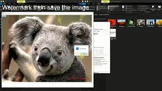 Image watermark software - single image mode