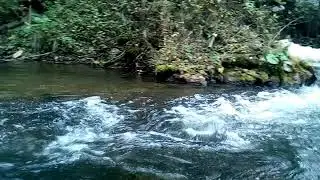 Р.Суводь