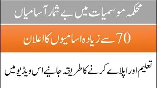 More than 70 Jobs Announced by Pakistan Meteorological Department.| Here is How you Can Apply Online