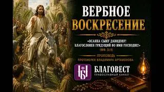 Проповедь Протоиерея Владимира Артамонова. Вербное Воскресение. 16 июня, 2024 года.