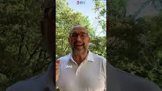 Erwartungen anderer loslassen & eigene Wahrheit leben | MFL Wochenimpuls