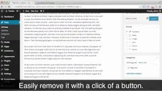 How To Use the WordPress Paragraph Spacing & Line Break Plugin