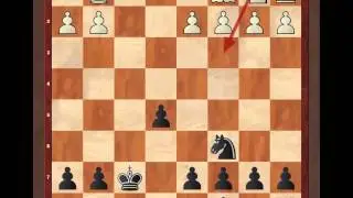 Защита 2-ух коней. 2 часть (для 2-3 разряда)