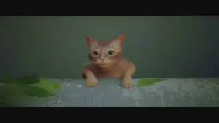 Stray part 1