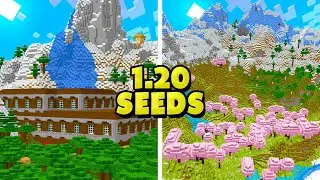 Top 5 AMAZING Minecraft Seeds 1.20! (Best Minecraft Trails & Tales Seeds Java & Bedrock)