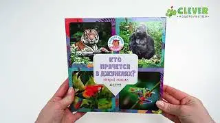 Книга с клапанами. Кто прячется в джунглях?