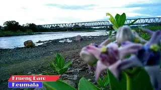 Cinematic Video I Desa ku