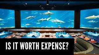 Sharks Underwater Grill SeaWorld Restaurant Orlando Florida