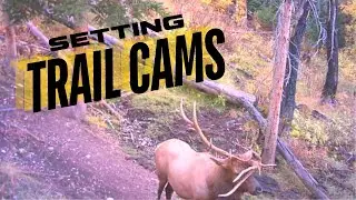 SETTING TRAIL CAMS FOR MY ELK HUNT PART 2