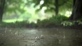 Chuva a cair em câmera Lenta - Vídeo Relaxante