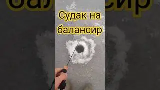 Судачий балансир. #shorts #зимняярыбалка #strikepro #судак #балансир
