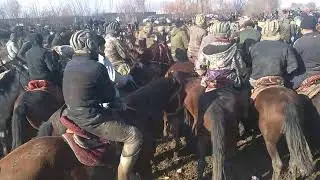БУЗКАШИ 🐴🐎🐎🐎-ДАР ШАХРИ ТУРСУНЗОДА