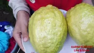 MENYULAP PEKARANGAN RUMAH MENJADI KEBUN BUAH TABULAMPOT (Tanaman Buah Dalam Pot)Tabulampot Indonesia