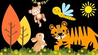 Baby Sensory Video - Tummy Time - Sensory Videos for Babies - Visual Stimulation for Newborn #baby