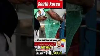 South Korea visit visa to work permit #beigetraveltrip #southkorea #koreatouristvisa #koreavisa #bg