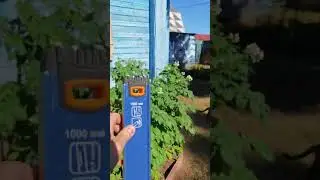 Картошки-убийцы!😝