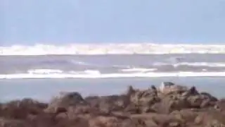 Tsunami