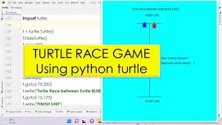 Turtle Race Game using python turtle | python turtle for beginners | python turtle project | fortify
