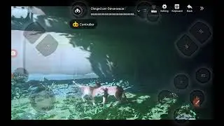Я играю в stray  но у меня логает