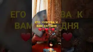 #таросовет #таро #тарогаданиялюбовь #tarot #тароотношения #таролог #гаданияналюбовь #гадание #таро