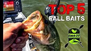 Top 5 Fall Bass Baits