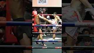 Amazing Muay Thai Catch and Kicks