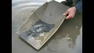 Ягодное 2010 №10 .