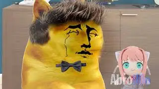Nobody Touches My DOLLS