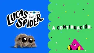 Cartoonito Latinoamérica: A CONTINUACIÓN - La Araña Lucas