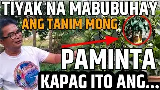 ANG TINATANIM SA PAMINTA PARA TIYAK NAMABUBUHAY ITO | D' Green Thumb