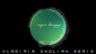ALENA OMARGALIEVA - ПОДИХ ВІТРУ (Sholiak remix)