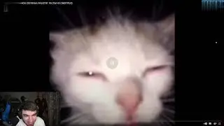 RavshanN не видет