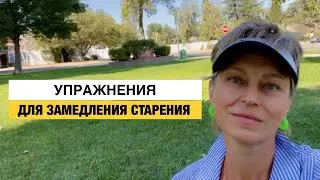 Как Ухаживать за Мозгом. Упражнения для Замедления Старения у Взрослых и Развития Детей.