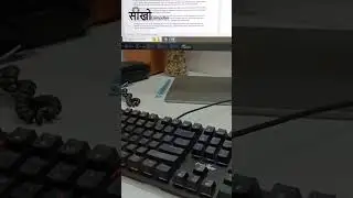 Remove Blank Page in ms word 