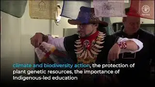 Indigenous Youth voices from the II Session of the UNGIYF
