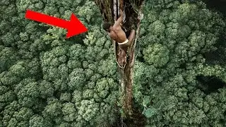 Historias De Supervivencia Más Increíbles De Las Que Nunca Has Oído Hablar