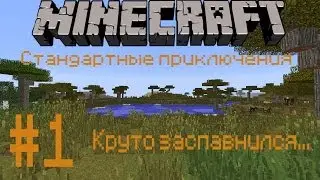 Стандартные приключения #1 круто заспавнился...