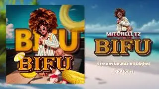 Mitchell TZ - Bifu (Official music audio)