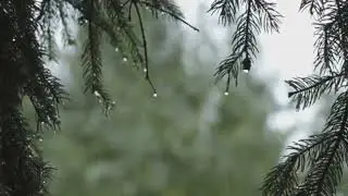 Лезгинская песня 