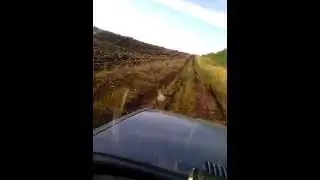 Куропатки Оренбург