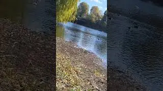 #nature #natural #naturelovers #beautiful #best #bestmoments #moments #good
