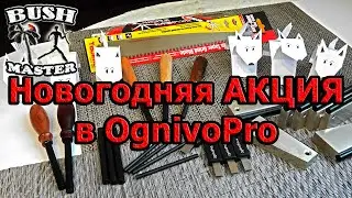 Новогодняя АКЦИЯ в OgnivoPro началась!!!