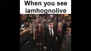iamhognolive
