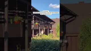 К нам едет Россгвардия, в это время мы)  #юмор