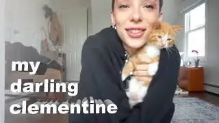 Introducing my Kitten to YouTube!