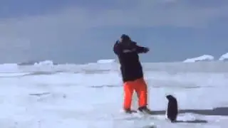 Шёл бы ты отсюда, петушок (прикол)
