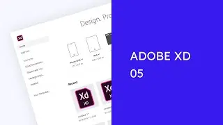 05 - 