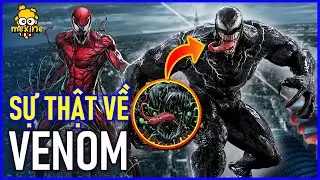 EVERYTHING YOU NEED TO KNOW ABOUT THE MONSTER VENOM | meXINE