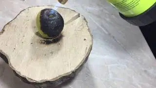 EXPERIMENT GAS TORCH VS EGG, POTATO AND APPLE