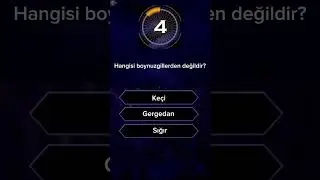 Hangisi ￼ boynuzgillerden değildir?